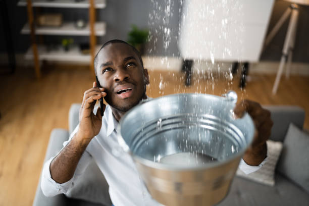 Best Water damage cleanup near me  in Longboat Key, FL