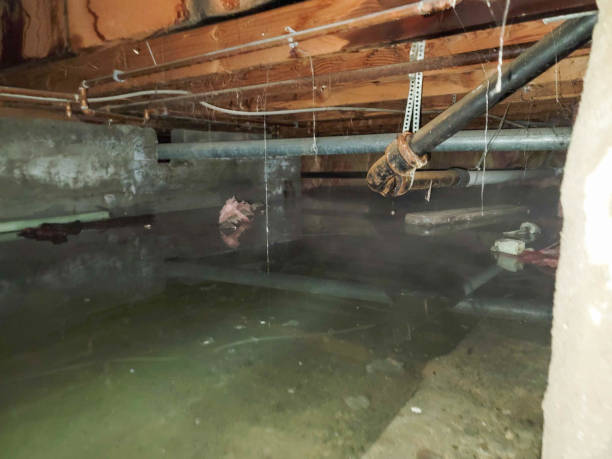 Professional Water damage restoration in Longboat Key, FL
