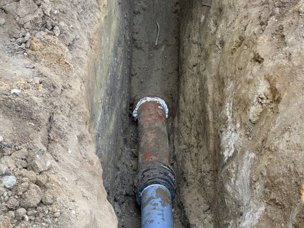 Best Flood restoration services  in Longboat Key, FL