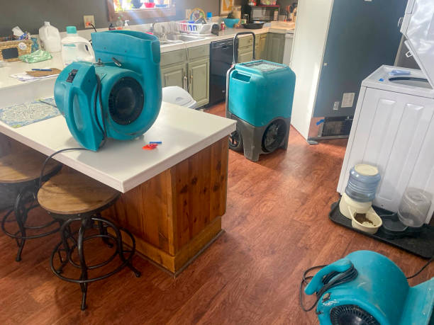 Best Fire Damage Restoration  in Longboat Key, FL