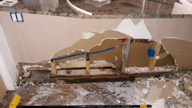 Best Water damage restoration near me  in Longboat Key, FL