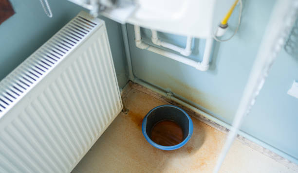 Best Professional water damage repair  in Longboat Key, FL