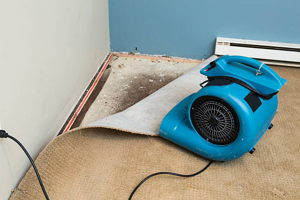 Carpet water damage restoration in Longboat Key, FL
